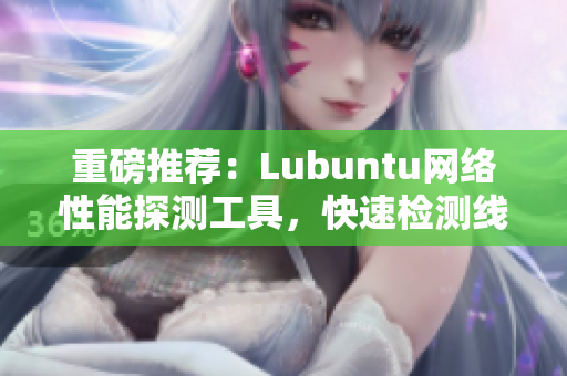 重磅推荐：Lubuntu网络性能探测工具，快速检测线路质量！