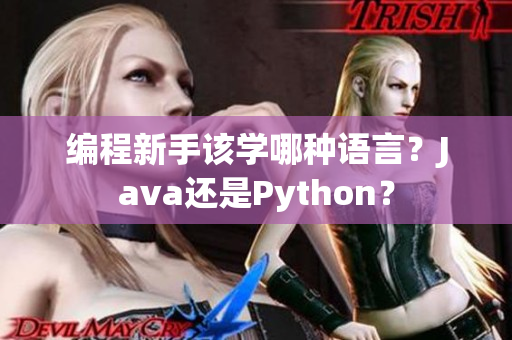 编程新手该学哪种语言？Java还是Python？