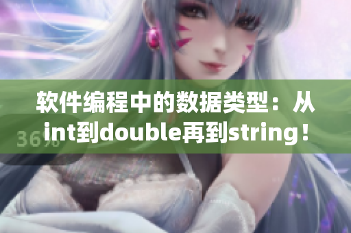 软件编程中的数据类型：从int到double再到string！