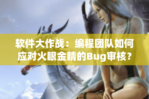 软件大作战：编程团队如何应对火眼金睛的Bug审核？