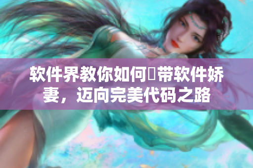 软件界教你如何玦带软件娇妻，迈向完美代码之路