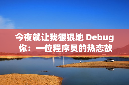 今夜就让我狠狠地 Debug 你：一位程序员的热恋故事