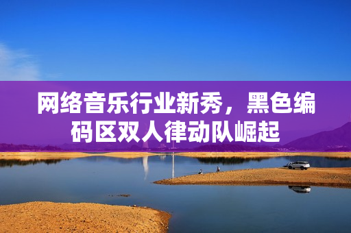 网络音乐行业新秀，黑色编码区双人律动队崛起