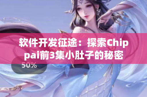 软件开发征途：探索Chippai前3集小肚子的秘密