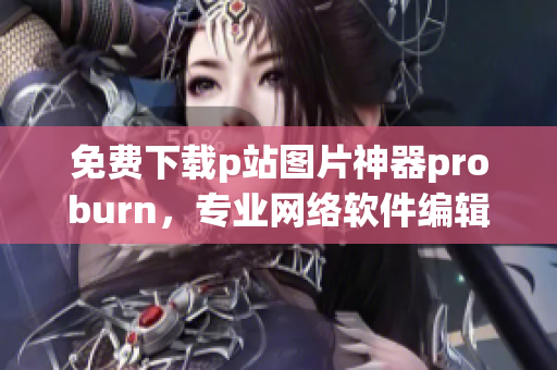 免费下载p站图片神器proburn，专业网络软件编辑推荐