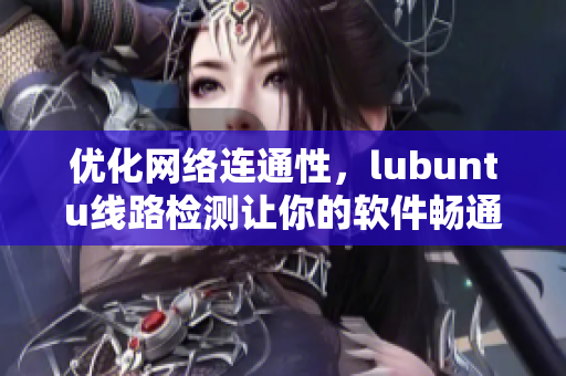 优化网络连通性，lubuntu线路检测让你的软件畅通无阻