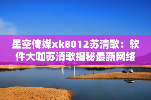 星空传媒xk8012苏清歌：软件大咖苏清歌揭秘最新网络技术