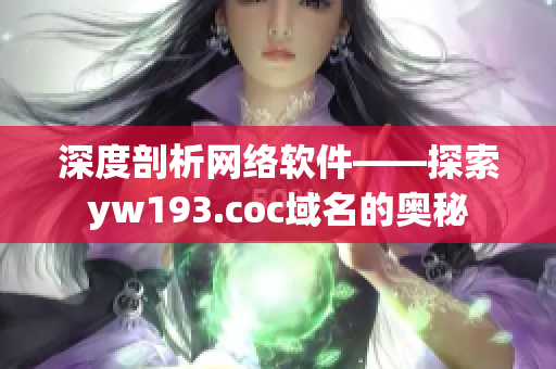 深度剖析网络软件——探索yw193.coc域名的奥秘