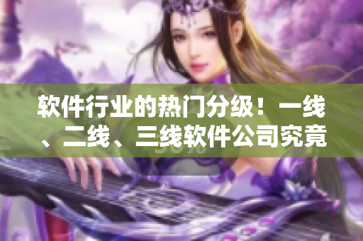 软件行业的热门分级！一线、二线、三线软件公司究竟有何不同？