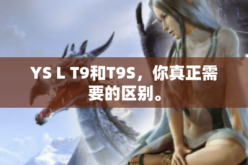 YS L T9和T9S，你真正需要的区别。