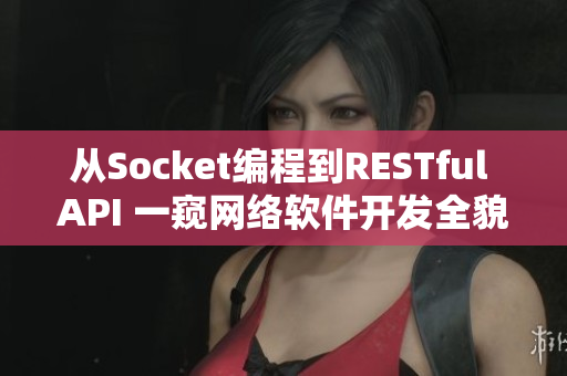 从Socket编程到RESTful API 一窥网络软件开发全貌