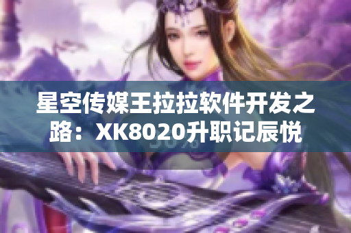 星空传媒王拉拉软件开发之路：XK8020升职记辰悦