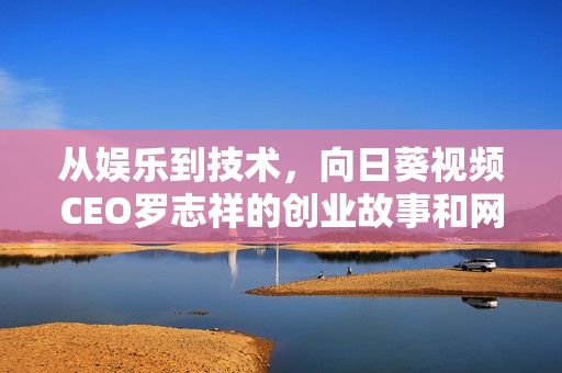 从娱乐到技术，向日葵视频CEO罗志祥的创业故事和网络软件开发经验总结