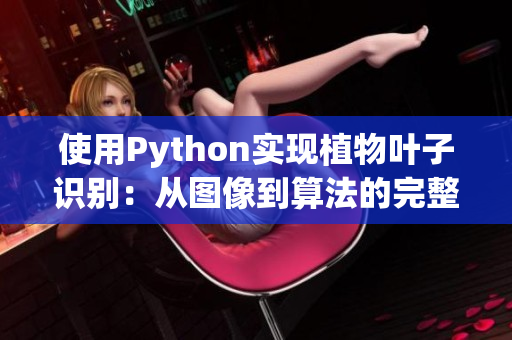 使用Python实现植物叶子识别：从图像到算法的完整实践