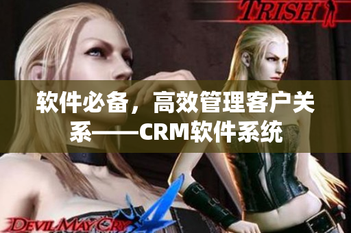 软件必备，高效管理客户关系——CRM软件系统