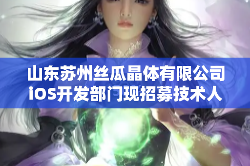 山东苏州丝瓜晶体有限公司iOS开发部门现招募技术人员