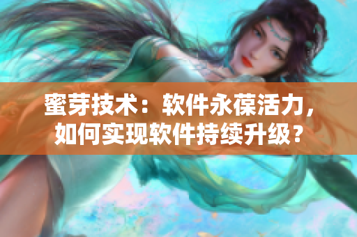 蜜芽技术：软件永葆活力，如何实现软件持续升级？