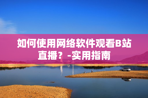 如何使用网络软件观看B站直播？-实用指南