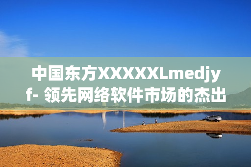 中国东方XXXXXLmedjyf- 领先网络软件市场的杰出典范