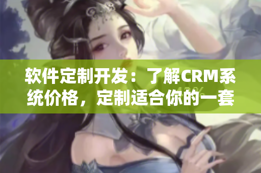 软件定制开发：了解CRM系统价格，定制适合你的一套！