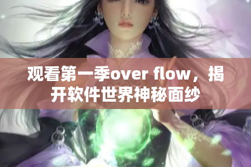 观看第一季over flow，揭开软件世界神秘面纱