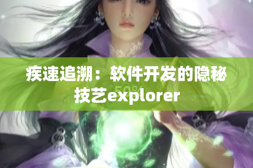 疾速追溯：软件开发的隐秘技艺explorer