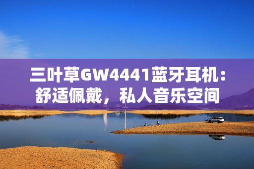 三叶草GW4441蓝牙耳机：舒适佩戴，私人音乐空间