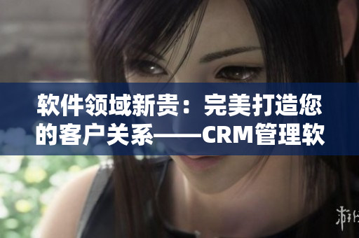 软件领域新贵：完美打造您的客户关系——CRM管理软件