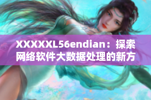 XXXXXL56endian：探索网络软件大数据处理的新方案