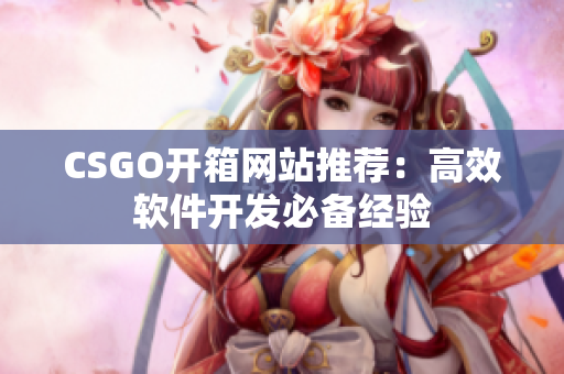 CSGO开箱网站推荐：高效软件开发必备经验