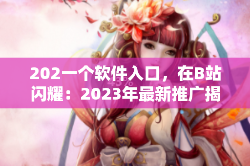 202一个软件入口，在B站闪耀：2023年最新推广揭晓