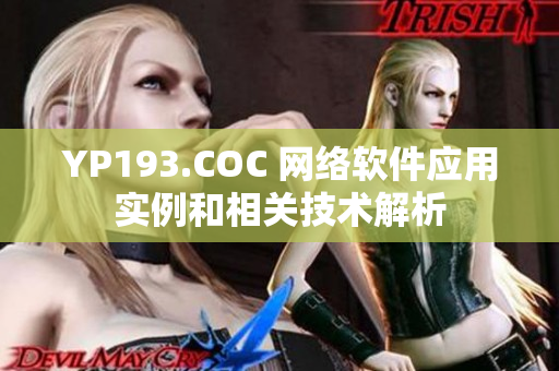 YP193.COC 网络软件应用实例和相关技术解析