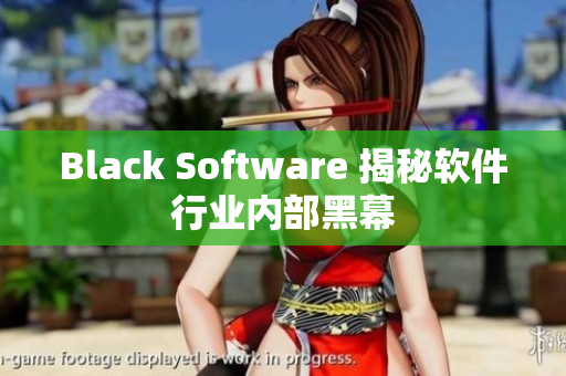 Black Software 揭秘软件行业内部黑幕