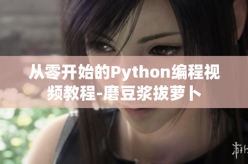 从零开始的Python编程视频教程-磨豆浆拔萝卜