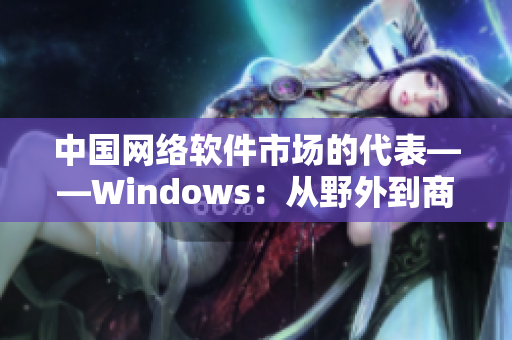 中国网络软件市场的代表——Windows：从野外到商场的巨变