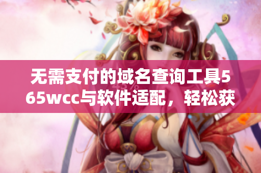 无需支付的域名查询工具565wcc与软件适配，轻松获取域名信息