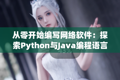 从零开始编写网络软件：探索Python与Java编程语言的异同