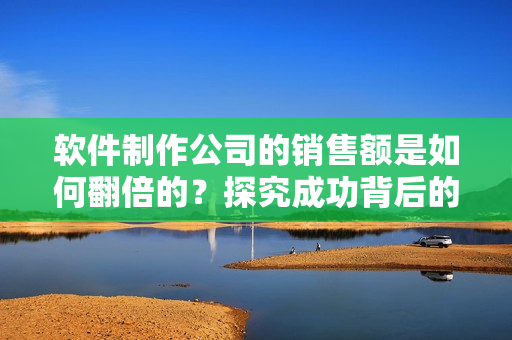 软件制作公司的销售额是如何翻倍的？探究成功背后的秘密