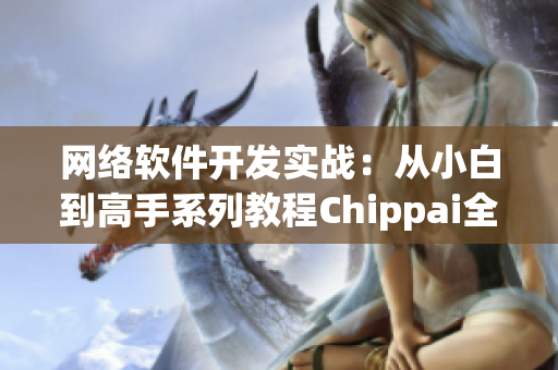 网络软件开发实战：从小白到高手系列教程Chippai全集