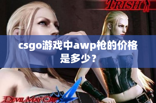 csgo游戏中awp枪的价格是多少？