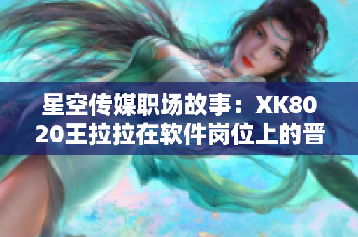 星空传媒职场故事：XK8020王拉拉在软件岗位上的晋升之路