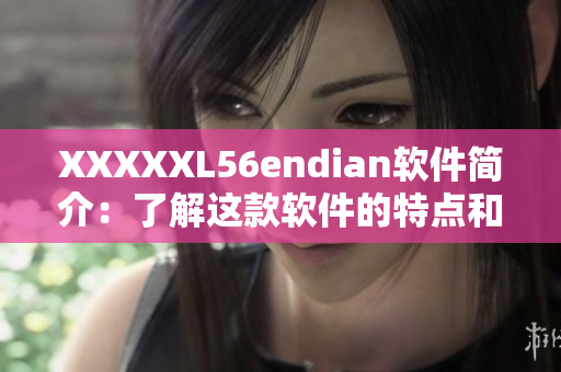 XXXXXL56endian软件简介：了解这款软件的特点和用途