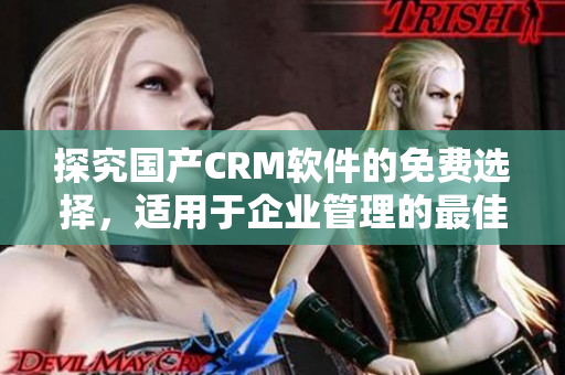 探究国产CRM软件的免费选择，适用于企业管理的最佳方案