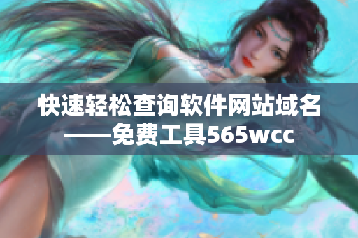 快速轻松查询软件网站域名——免费工具565wcc