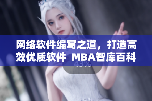 网络软件编写之道，打造高效优质软件  MBA智库百科