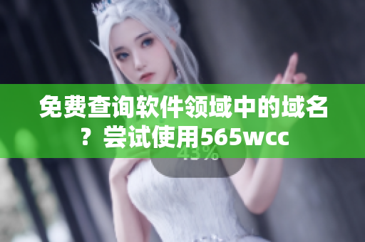 免费查询软件领域中的域名？尝试使用565wcc