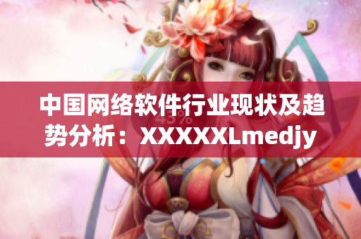 中国网络软件行业现状及趋势分析：XXXXXLmedjyf