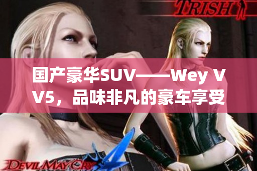 国产豪华SUV——Wey VV5，品味非凡的豪车享受