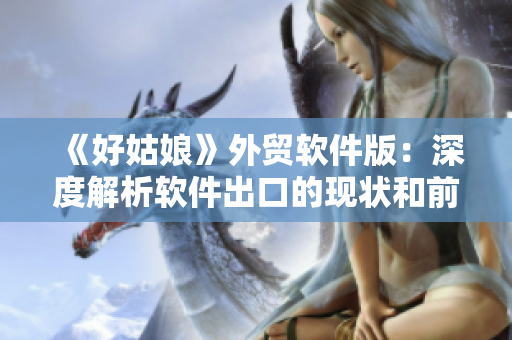 《好姑娘》外贸软件版：深度解析软件出口的现状和前景