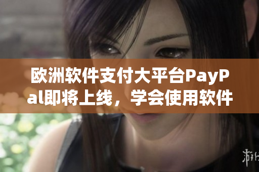 欧洲软件支付大平台PayPal即将上线，学会使用软件轻松支付